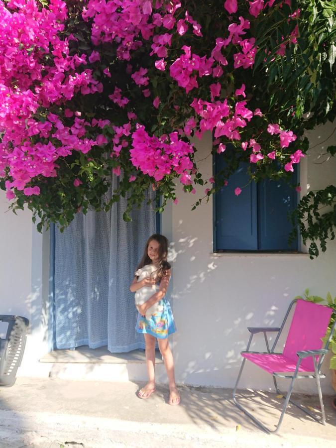 ~~ Sea Breeze Covered House ~~ موخلوس المظهر الخارجي الصورة